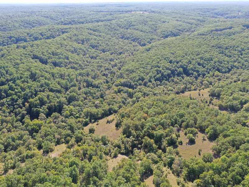 18.63 Acres Best All Around : Lebanon : Dallas County : Missouri