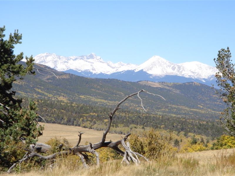 Lot Connected To San Isabel Forest : Fort Garland : Costilla County : Colorado