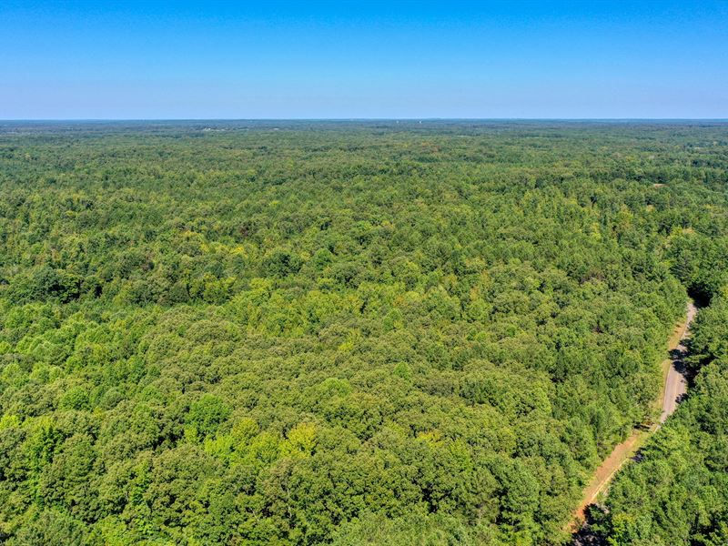 5+ Wooded Acres : Huntingdon : Carroll County : Tennessee