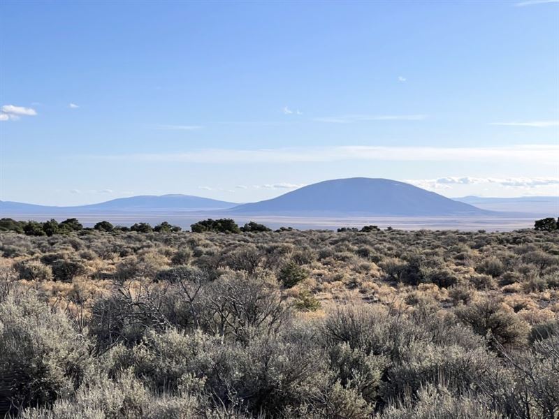 Land with Power, Trees & Great View : San Luis : Costilla County : Colorado