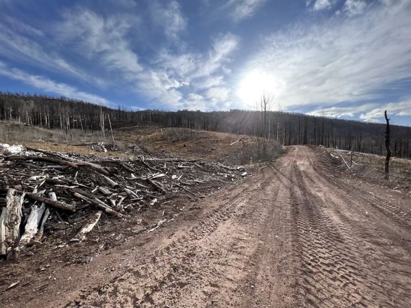 Inexpensive Lot in Forbes Park : Fort Garland : Costilla County : Colorado