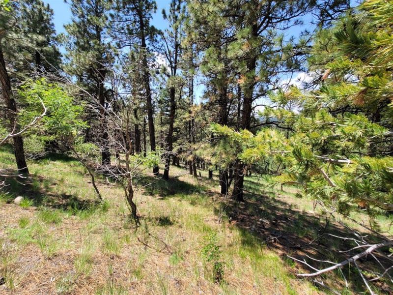 Your Cozy Cabin Awaits : Aguilar : Las Animas County : Colorado