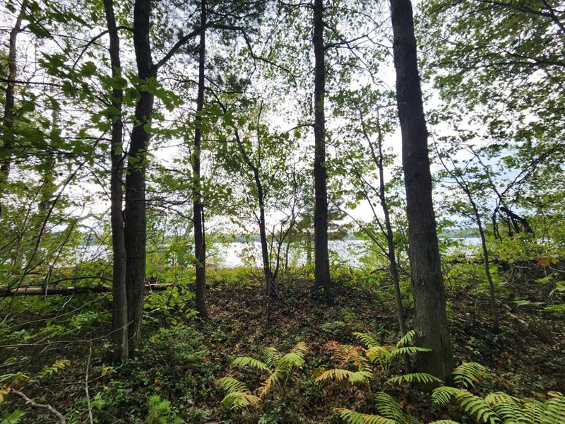 Middle Sugarbush Lake Acreage : Lac Du Flambeau : Vilas County : Wisconsin