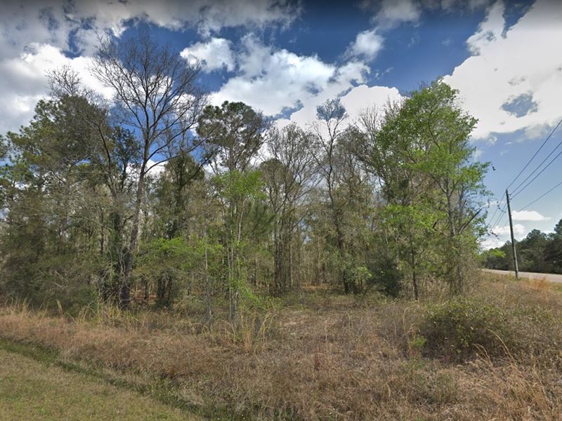 Equestrian Friendly Corner Lot : Hastings : Saint Johns County : Florida