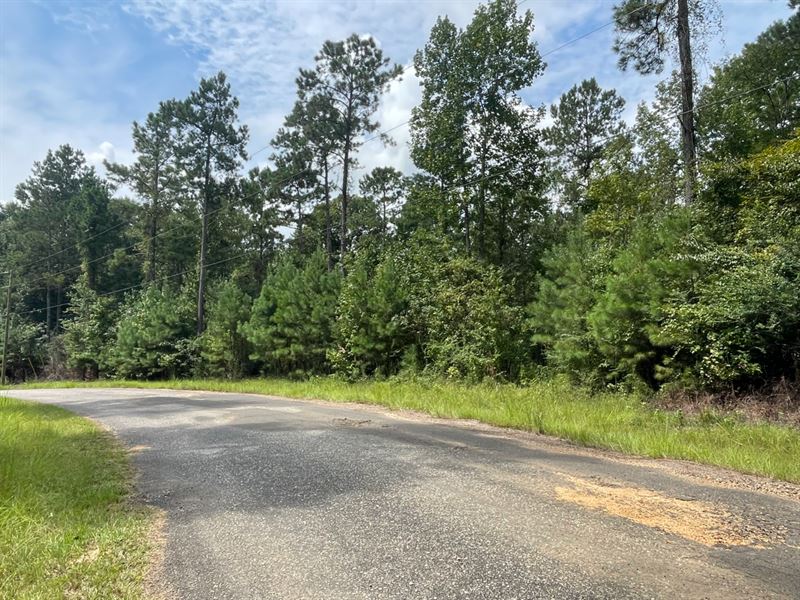 Beautiful 4.11 Acre Lot in North Pi : Summit : Pike County : Mississippi