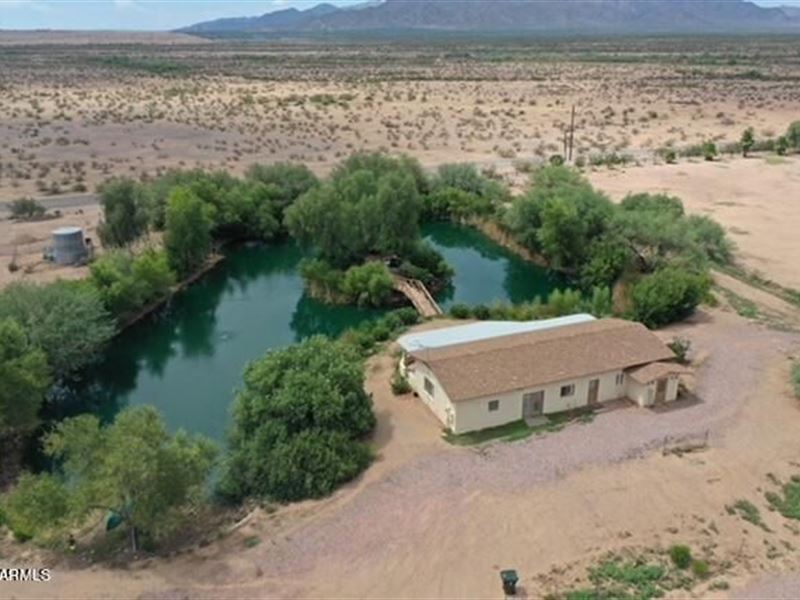 3.1 Acres with Private Fishing Pond : Surprise : Maricopa County : Arizona