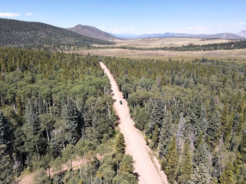 Fully Treed, Adjacent Lots for Sale : Fort Garland : Costilla County : Colorado