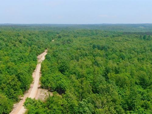 Owner Financed Land in MO : West Plains : Howell County : Missouri