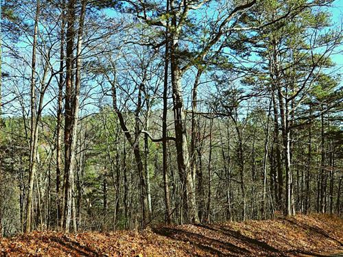 Peaceful Lot $1 Down Near River : Ranger : Gordon County : Georgia