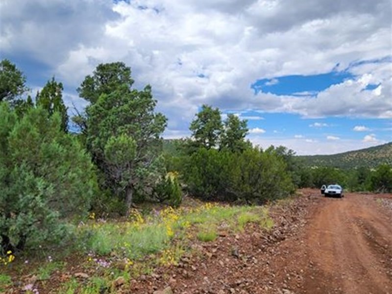 Corner Lot with Mountain Views : Vernon : Apache County : Arizona