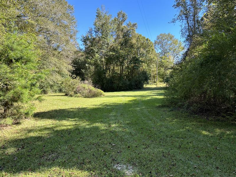 7 AC on The Bogue Chitto River : Summit : Pike County : Mississippi