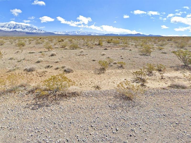 Your New Home Is Waiting : Pahrump : Nye County : Nevada