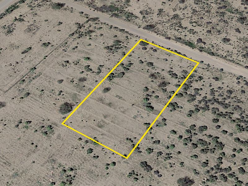 Invest for Your Future, Start Here : Tonopah : Maricopa County : Arizona