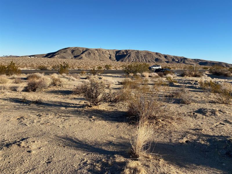 Adventure is Out There : Joshua Tree : San Bernardino County : California
