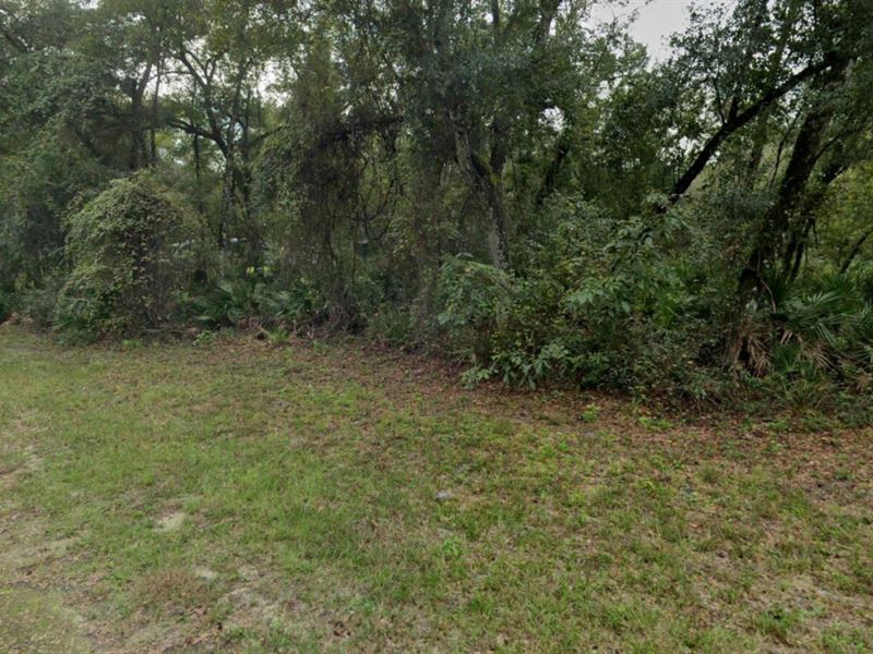 .97 Acre Lot in Webster, Florida : Webster : Hernando County : Florida