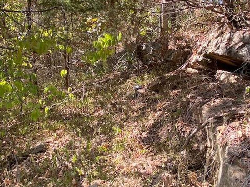 Valley View Lot : Greenwood : Sebastian County : Arkansas