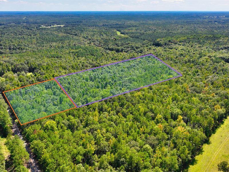 3.9 Acres in Lee County AL : Salem : Lee County : Alabama