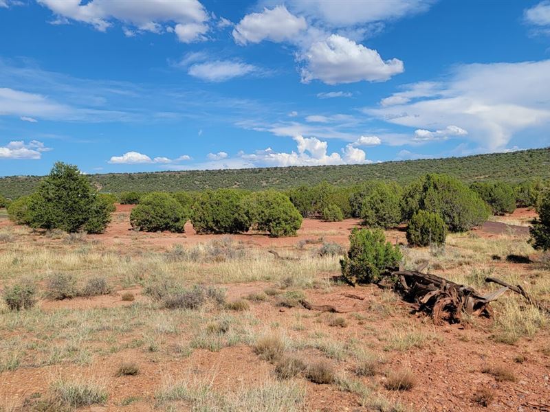 1.17 Ac, Mountainous View, Concho : Concho : Apache County : Arizona