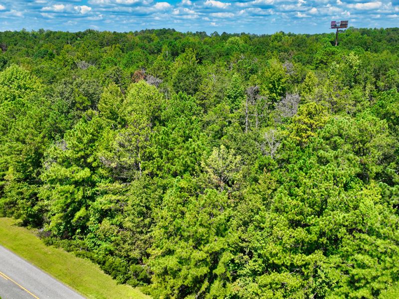 6 Acres in Opelika, AL : Opelika : Lee County : Alabama