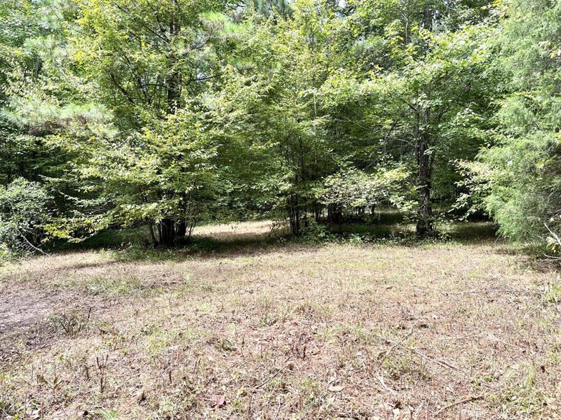 2.9 Acres Residential Lot : Cottondale : Tuscaloosa County : Alabama