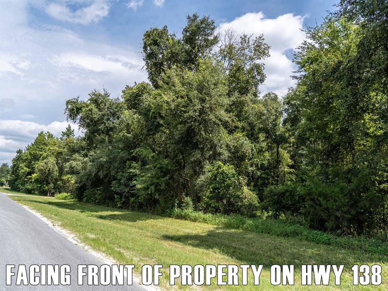 $7,900 Down Pmt ,Paved Rd, No Flood : Branford : Suwannee County : Florida