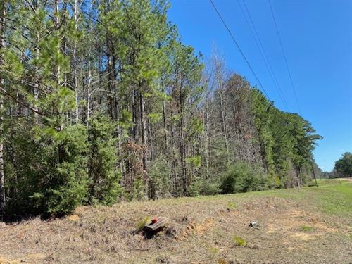 2 Residential Acres / Wildwood Trl : Meadville : Franklin County : Mississippi