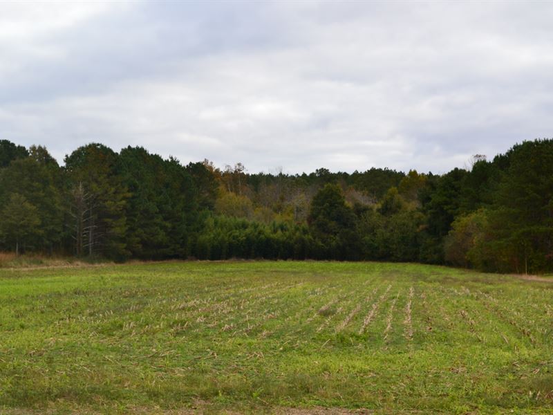 8 Ac. Near Centre, AL : Centre : Cherokee County : Alabama