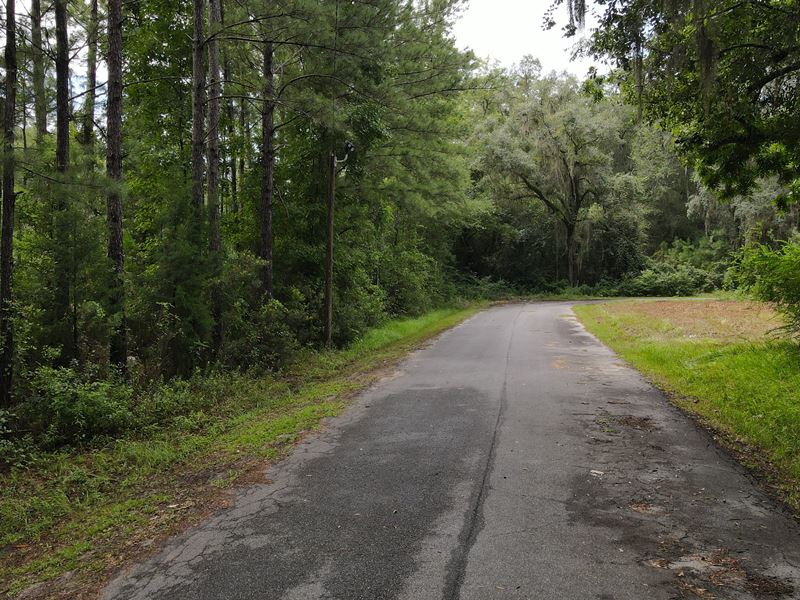 South Georgia Acres : Quitman : Brooks County : Georgia