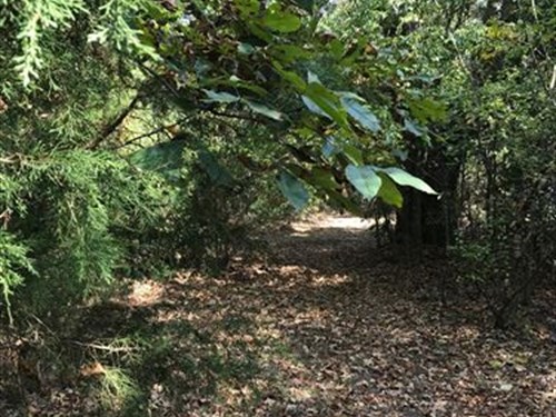 Small Ozarks Acreage for Sale : Ash Flat : Sharp County : Arkansas