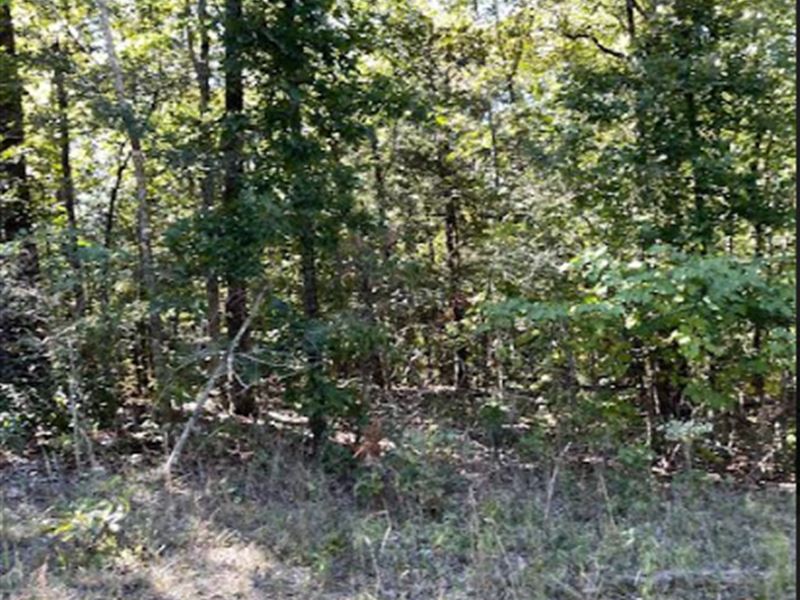 Wildwood Dr, Utilities at Lot Line : Highland : Sharp County : Arkansas