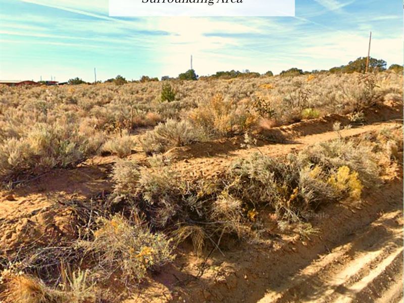 1.10 Acres Only $1 Down, $199/Mo : Rio Rancho : Sandoval County : New Mexico