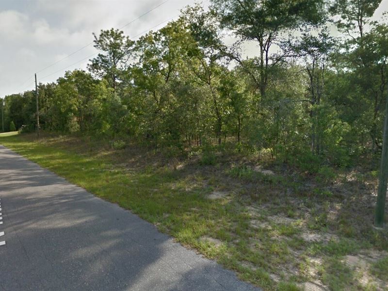 .23 Acre in Citrus Springs, FL : Citrus Springs : Citrus County : Florida