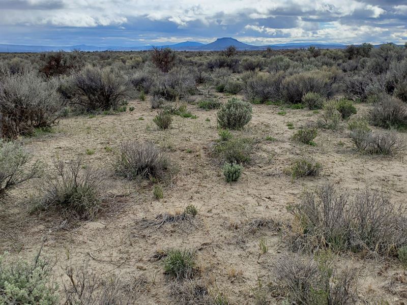 5.00 Acres in Lake County, OR : Klamath Falls : Lake County : Oregon