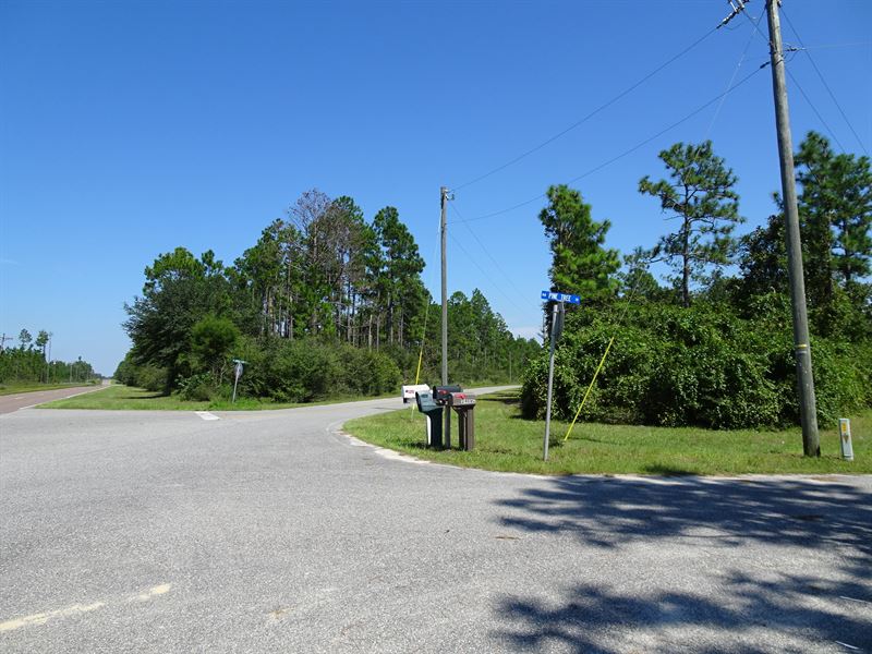 Owner Fin Paved Rd Near Panama City : Fountain : Calhoun County : Florida