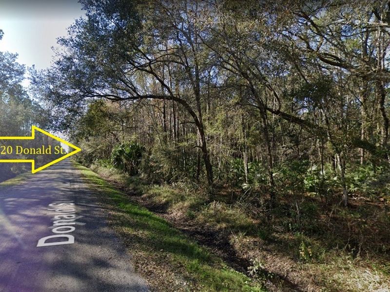 Tiny & Mobile Home Friendly : Hastings : Saint Johns County : Florida