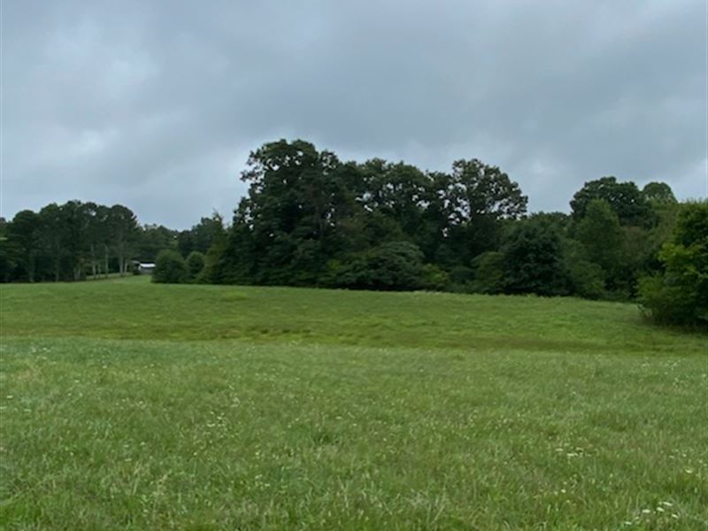8.15 Ac of Land in Marion Co TN : Sequatchie : Marion County : Tennessee