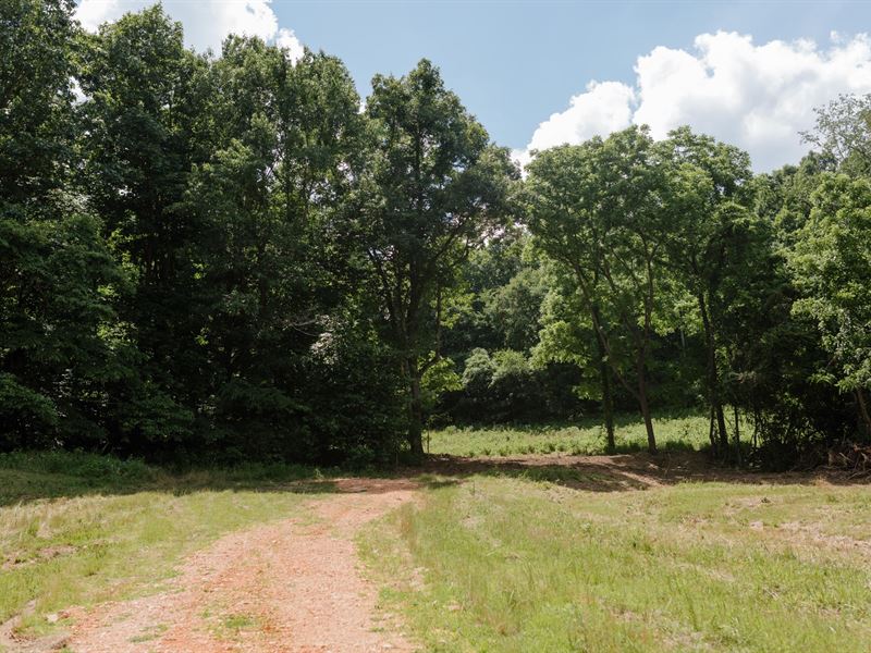 10 Acres in Pulaski : Pulaski : Giles County : Tennessee