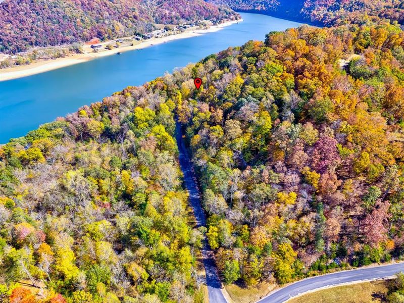 1 Acre Lot, Cherokee Lake Access : Whitesburg : Hawkins County : Tennessee