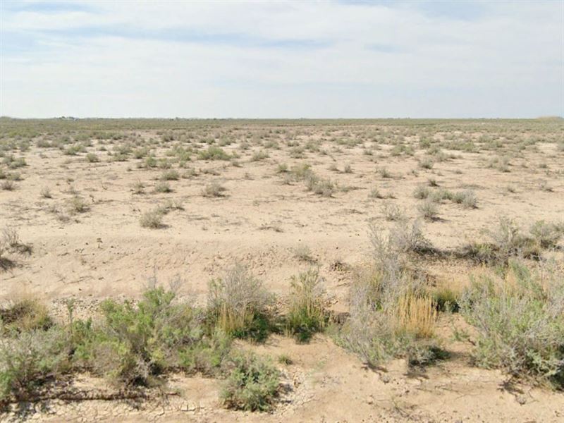 1.1 Acres in Saguache County, CO : Moffat : Saguache County : Colorado