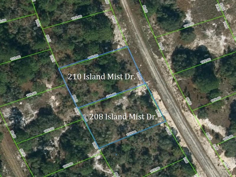 High & Dry Double Lot Package : Lake Placid : Highlands County : Florida
