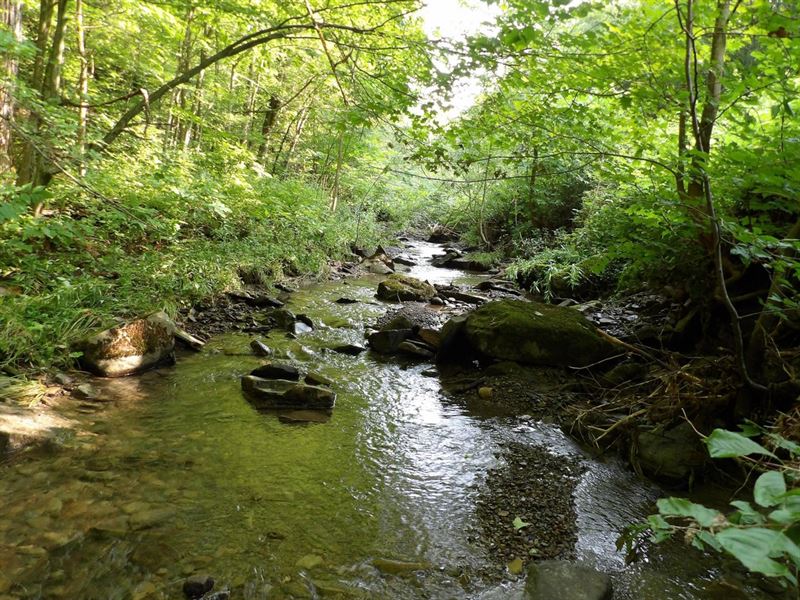 Sol's Cupla Acres : Cherry Creek : Chautauqua County : New York