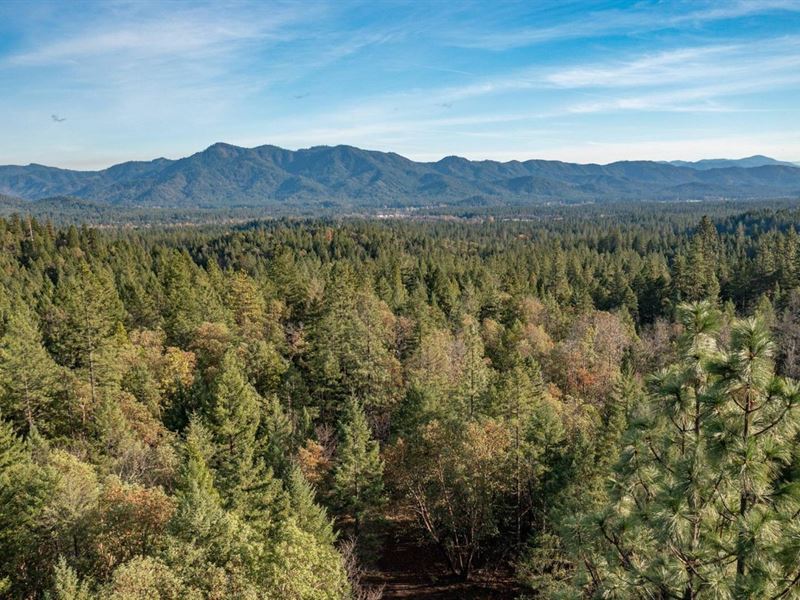 West Evans Creek Road Tl204 : Rogue River : Jackson County : Oregon