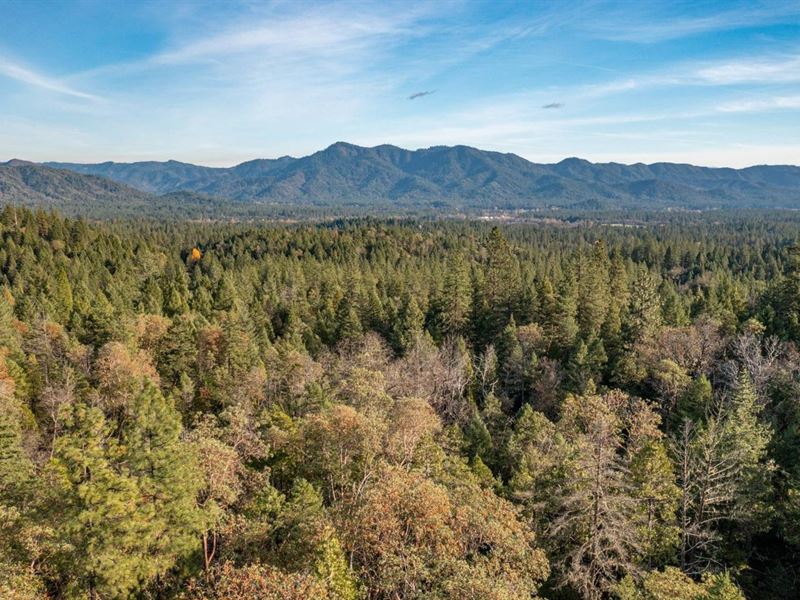 West Evans Creek Road Tl205 : Rogue River : Jackson County : Oregon