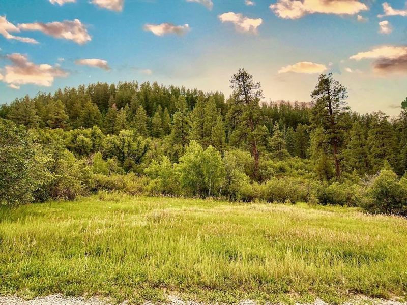 Pine Spring Ranch Splendor : Bayfield : La Plata County : Colorado