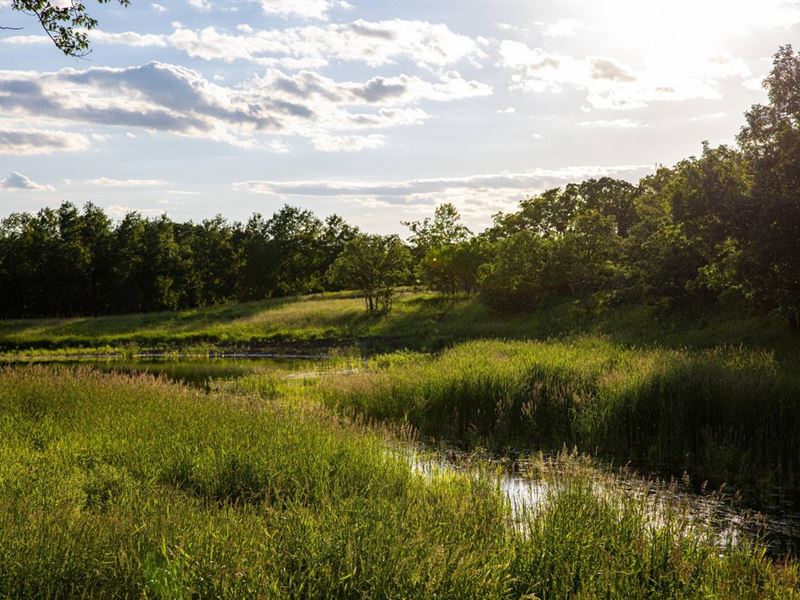 Turtle Mountain 9.8 Acre Build Site : Bottineau : Bottineau County : North Dakota