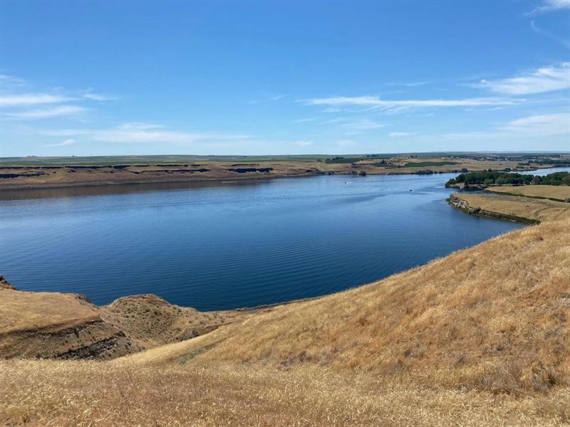 High Bank, Stunning View of Snake : Pasco : Franklin County : Washington