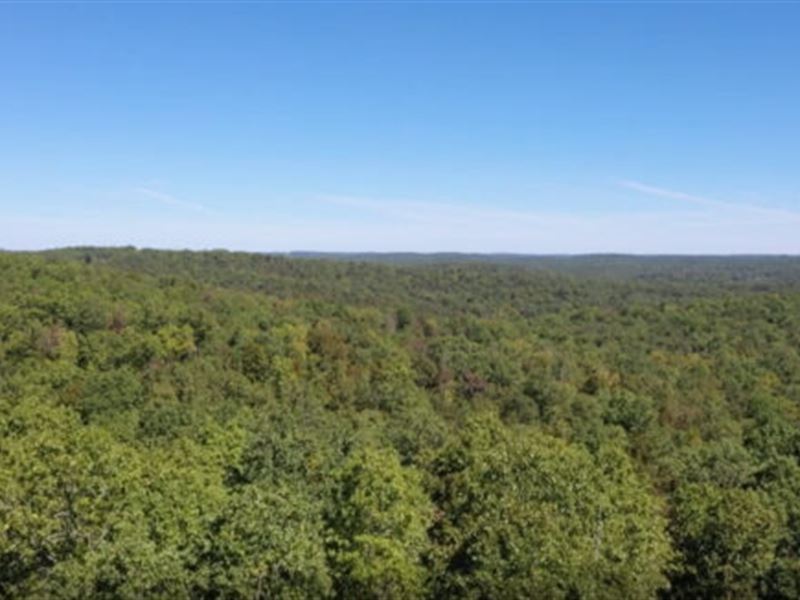 1.36 Acres in Sharp County, AR : Cherokee Village : Sharp County : Arkansas