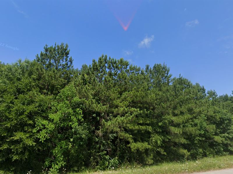 Perfect Privacy on 0.28 Acres : Livingston : Polk County : Texas