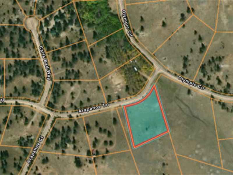 Build Your Dream Home in Colorado : Lake George : Park County : Colorado
