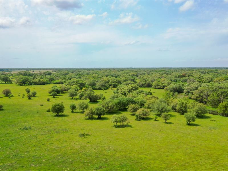 Rare Opportunity, Low Taxes : Columbus : Colorado County : Texas